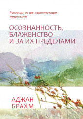 Осознанность, блаженство и за их пределами. Руководство для практикующих медитацию