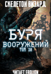 Буря Вооружений. Том 30