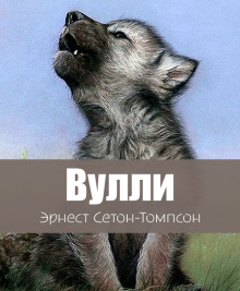 Вулли