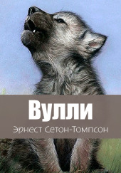 Вулли