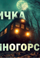 Электричка на Солнечногорск