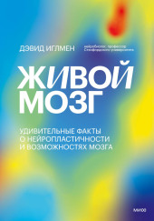 Живой мозг. Удивительные факты о нейропластичности и возможностях мозга