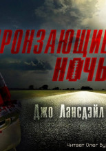 Пронзающие ночь
