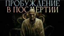 Пробуждение в посмертии