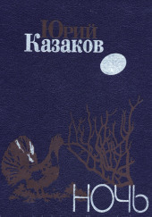 Ночь