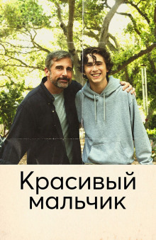 Красивый мальчик. Правдивая история отца, который боролся за сына