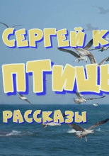 Сборник рассказов