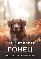 Гонец