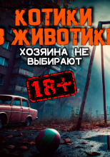 Котики в животике