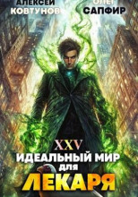 Идеальный мир для Лекаря 25