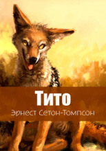 Тито - дочь степей