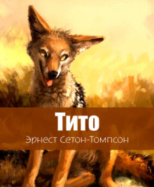 Тито - дочь степей