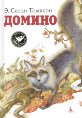 Домино