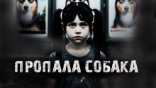 Пропала собака!