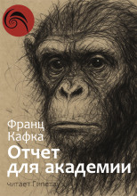 Отчёт для академии