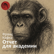 Отчёт для академии