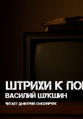 Штрихи к портрету