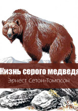 Жизнь серого медведя
