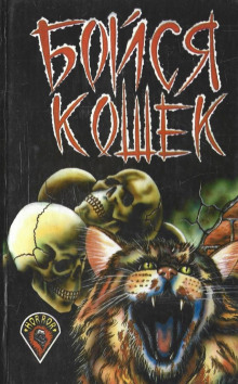 Жёлтый кот