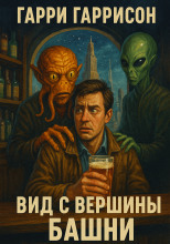 Вид с вершины башни