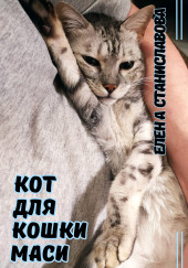 Кот для кошки Маси