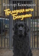 Последняя ночь Бандита