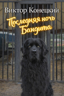 Последняя ночь Бандита