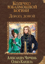 Дорога домой