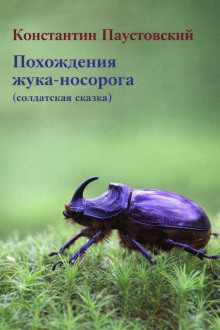 Похождения жука-носорога