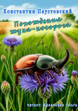 Похождения жука-носорога