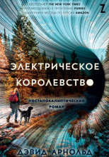Электрическое королевство