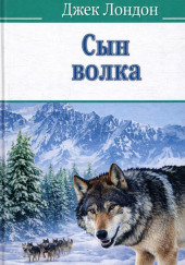 Сын волка