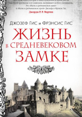 Жизнь в средневековом замке