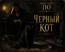 Чёрный кот