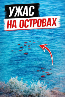 Смерть у скал