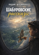 Шабуровские рассказы