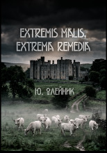 Extremis malis, extrema remedia